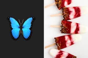 A butterfly emoji is on the left with 5 raspberry popsicles on the right