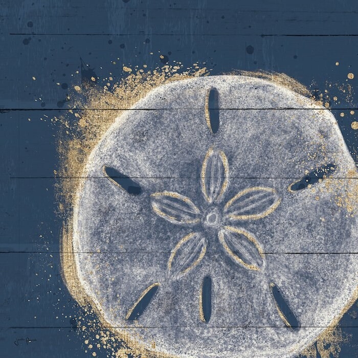 a cream and sand-colored sand dollar painted on a dark blue background