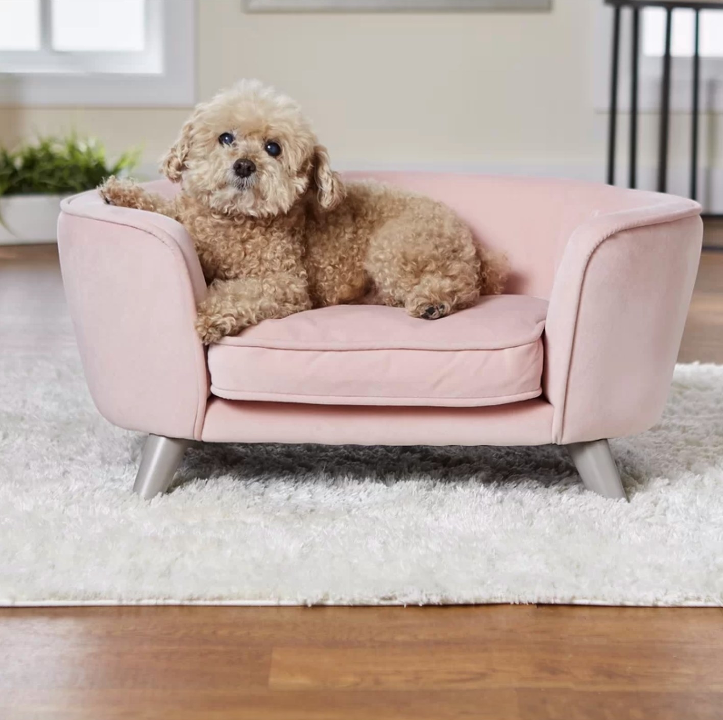 The dog sofa in blush