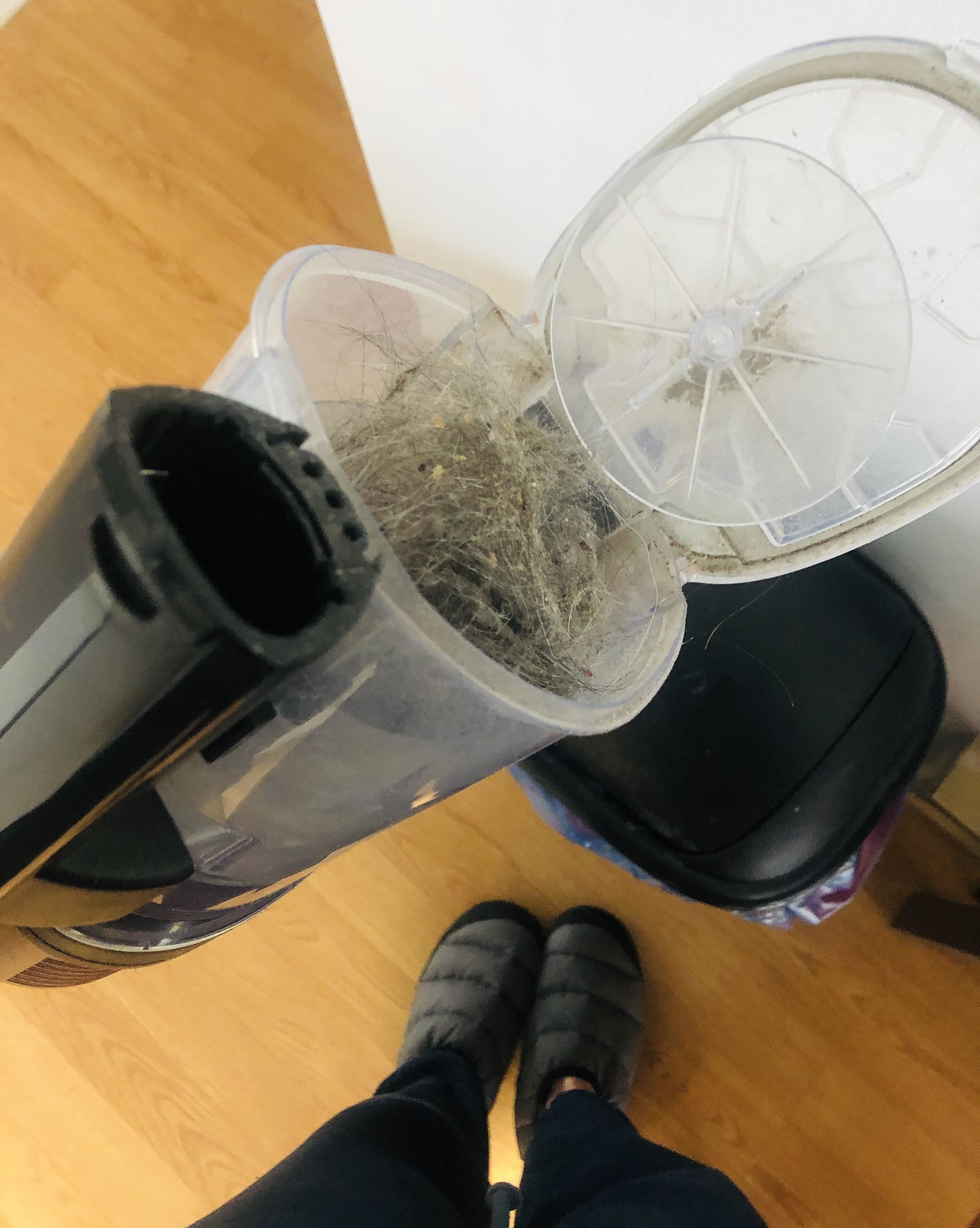 Alice throwing out the contents of her vacuum