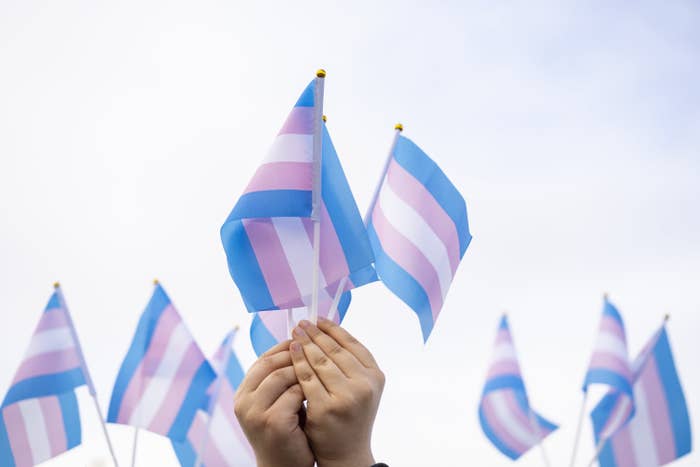 An image of hands holding up flags for Trans Rights