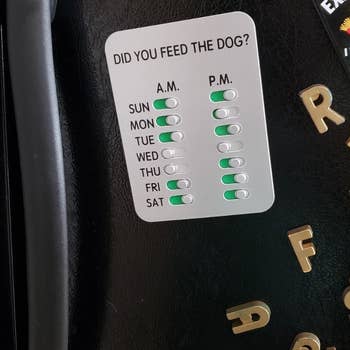 The dog feeding tracker attached to a refrigerator 