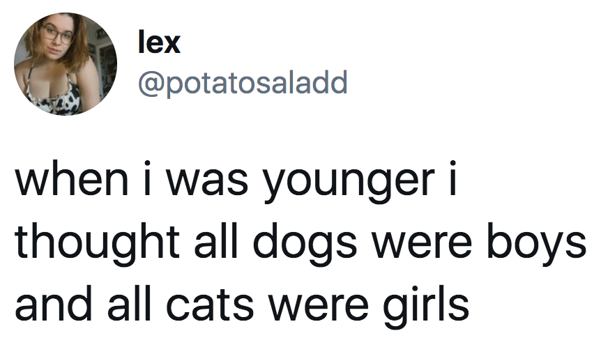 tweet reading when i was younger i thought all dogs were boys and all cats were girls