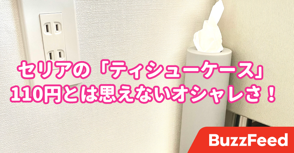 なんだこの形 初めて見た セリアの 110円ケース が驚きの使い道でした なんだこの形 初めて見た セリアの 110円ケース が驚きの使い道でした