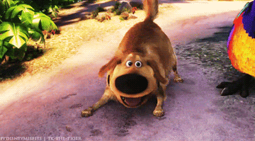 The dog from Up being a very excited bean 