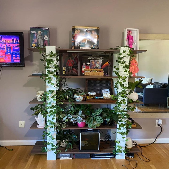 Reviewer image of the ivy hung over a shelving unit