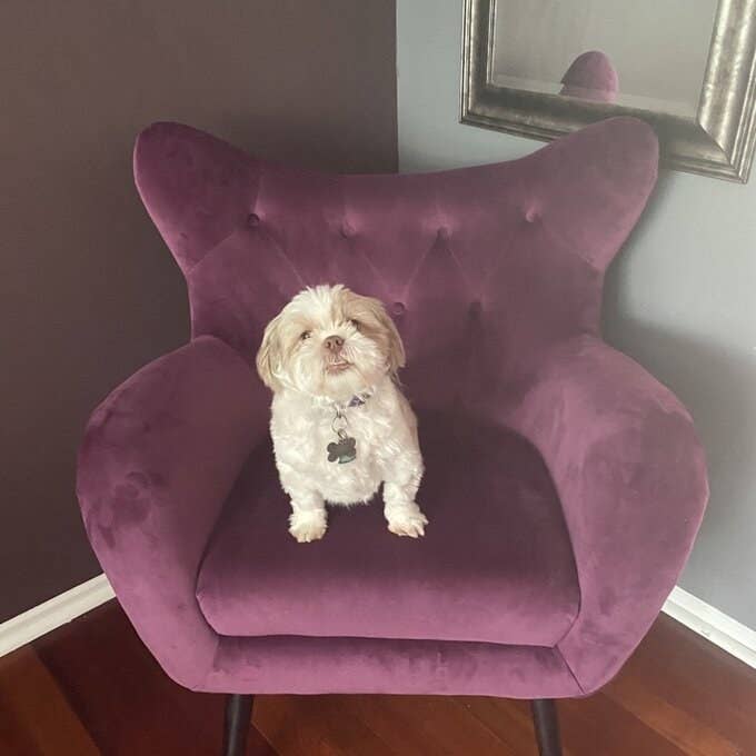 Reviewer's picture of the chair, which has solid armrests and splayed pin legs, in purple