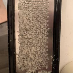 A customer review photo of the foot file filled with dead skin after being used