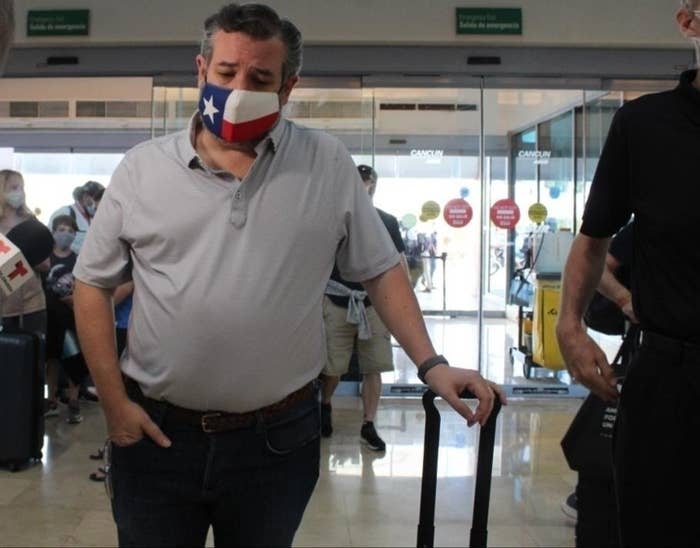 Ted Cruz wears a face mask with a Texas logo and leans on his luggage solemnly