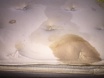 a reviewer's mattress with a big stain on it