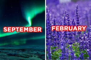On the left, the Northern Lights labeled "September," and on the right, a lavender field labeled "February"