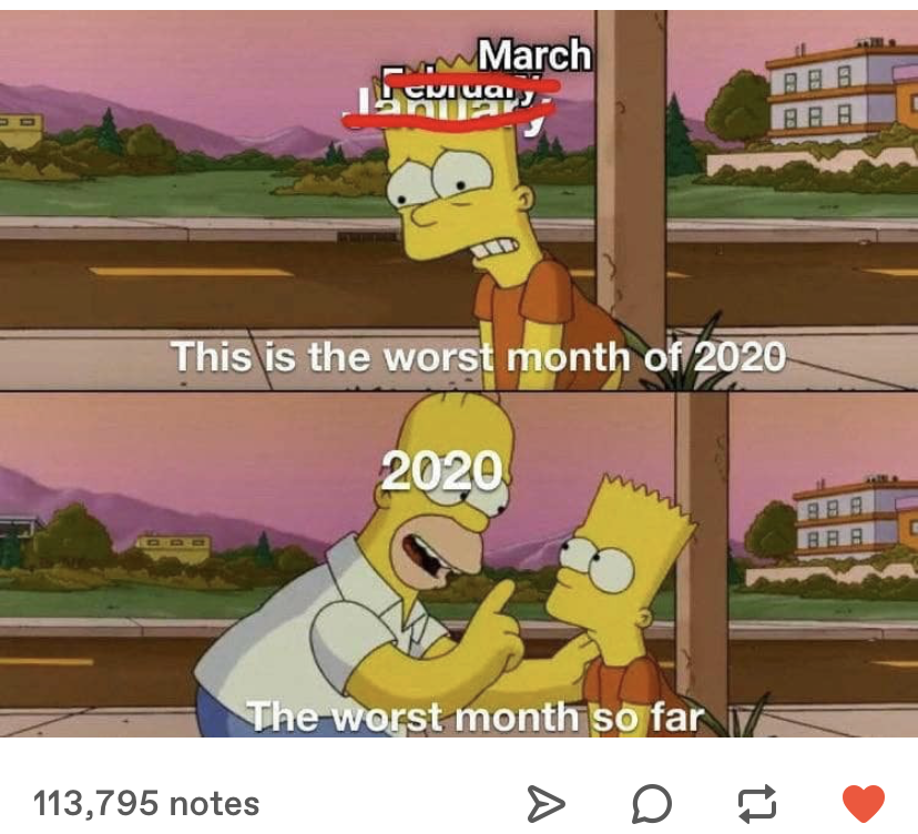 meme of Bart from The Simpsons saying &quot;this is the worst month of 2020&quot; and Homer correcting &quot;The worst month so far,&quot; with January crossed out to be February then March