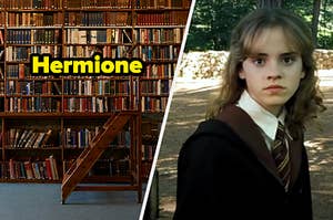 A library and Hermione Granger