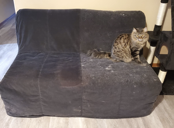 half of a reviewer's couch covered in cat fur and the other half free of fur after using the roller