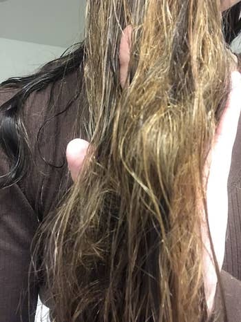Reviewer's tangled hair before using detangling spray