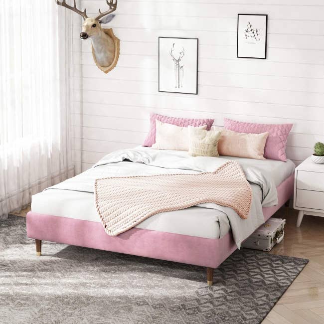 the pink velvet bed