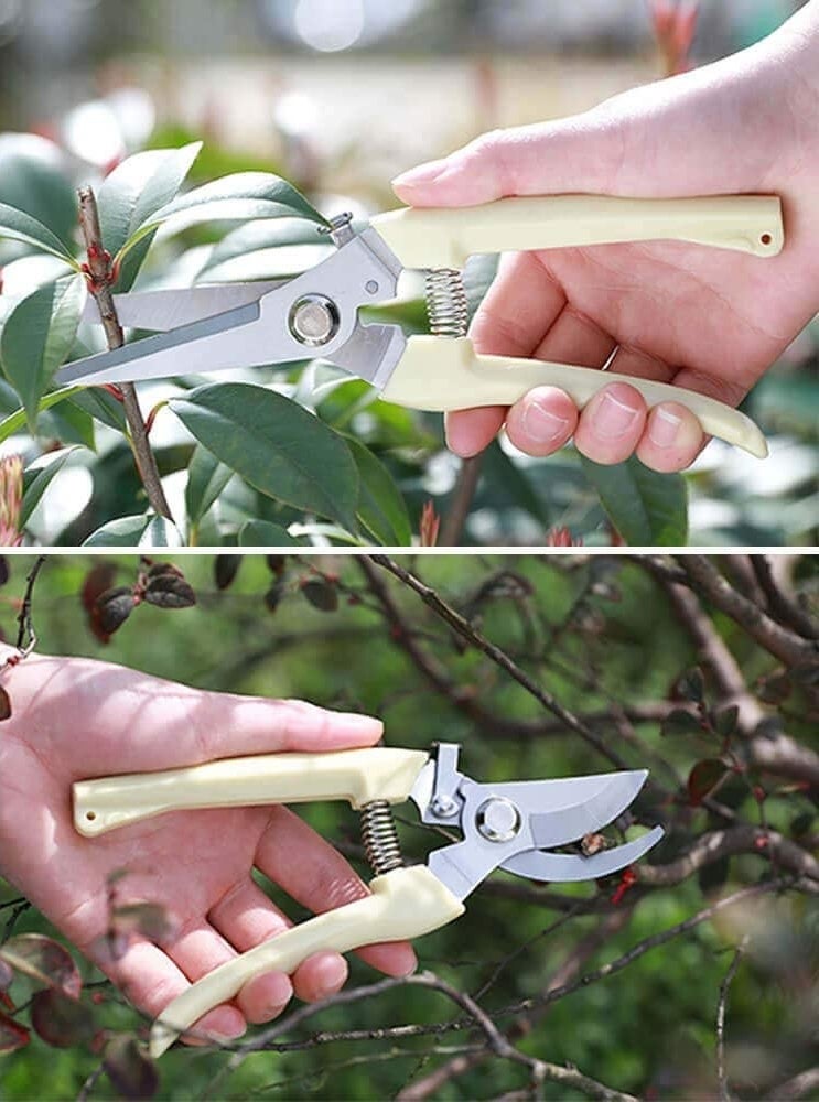 The two pruning shears being used