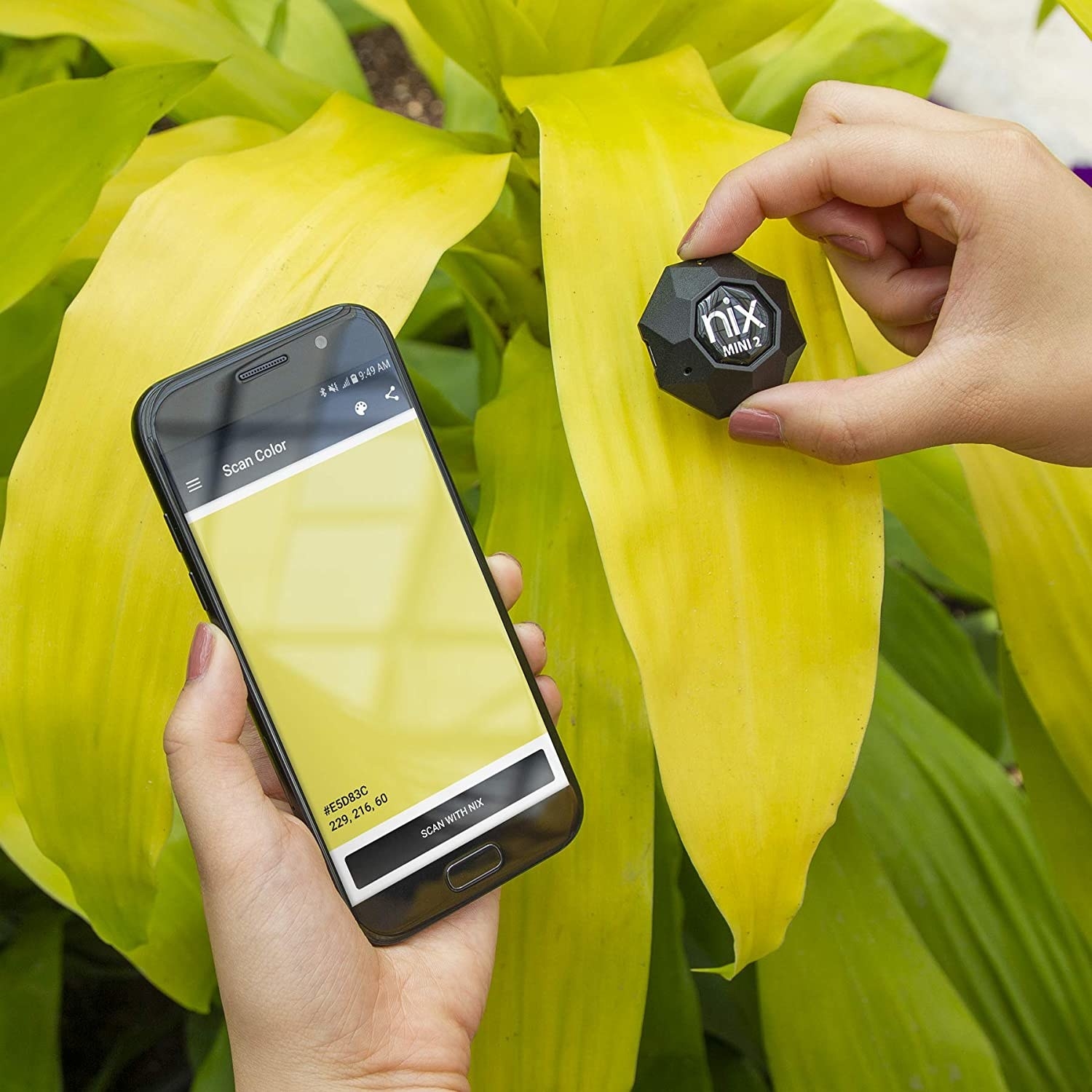 A person holding the colour sensor up to a leaf