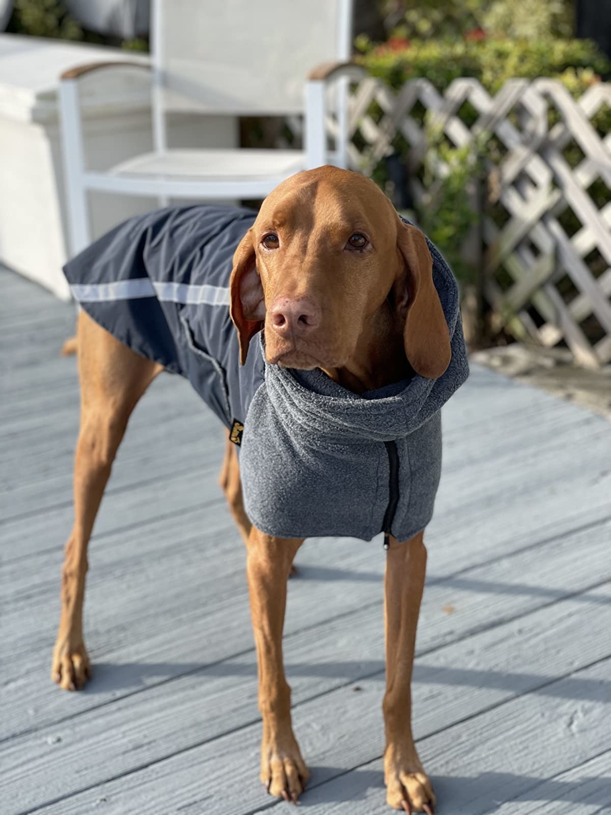 Red Fleece Lined Jacket Reflective Dog Jacket Warm Dog Coat Climate Changer Fleece Jacket Easy On and Off Size XL Dog Coat 100% Waterproof Nylon