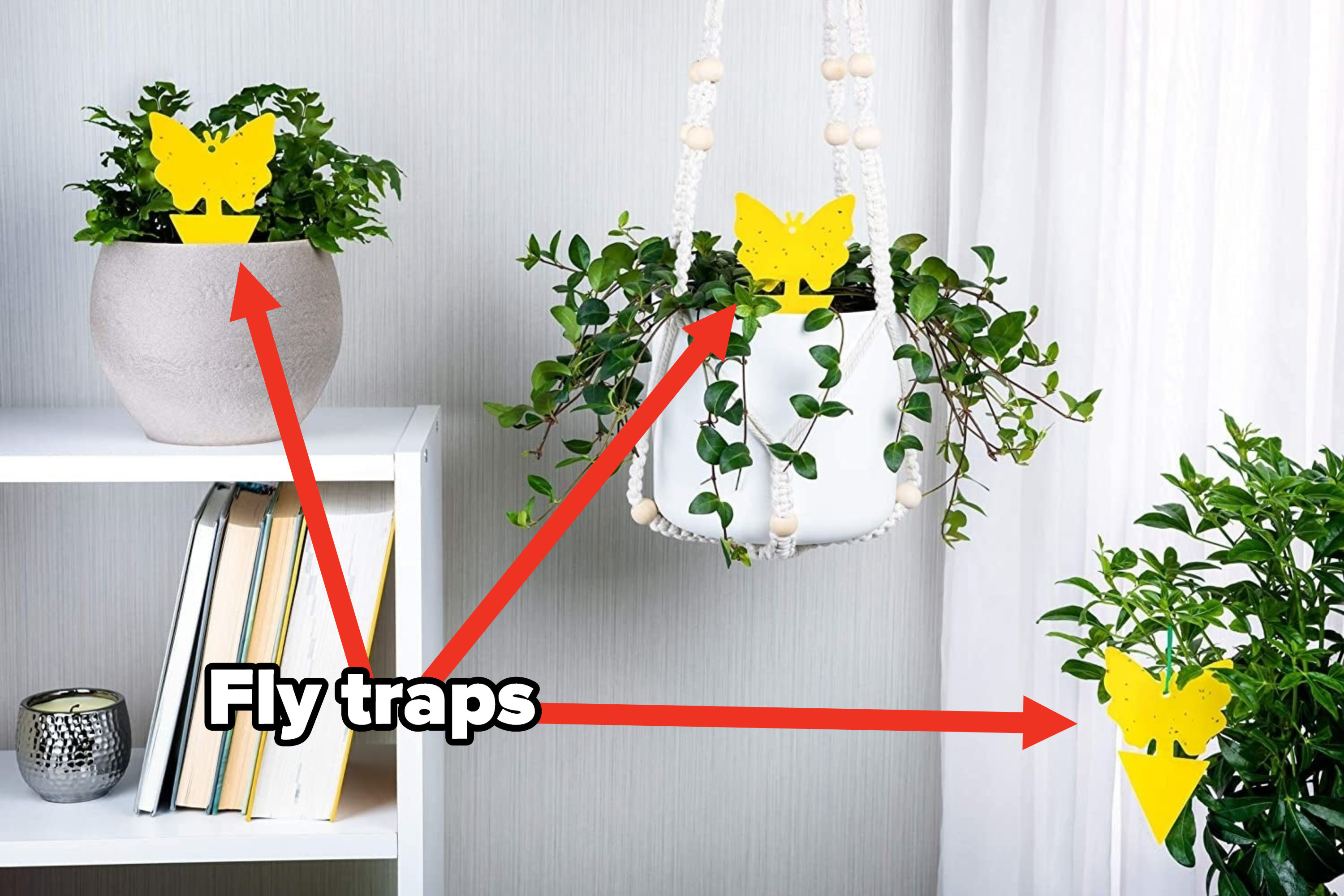 Three butterfly-shaped fly traps in potted plants 