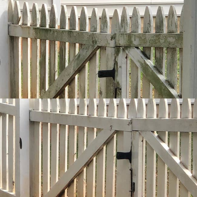 reviewer before and after pictures of a white fence; before it is green and covered in mildew, and after it is clean and white