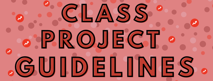 class project guidelines