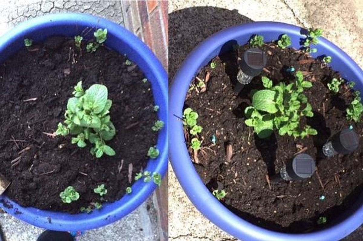 Products Reviewers Claim Have Made Their Lives Easier