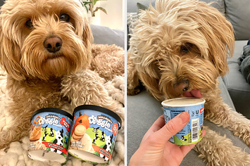 puppy ice cream target