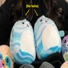 charli damelio squishmallow