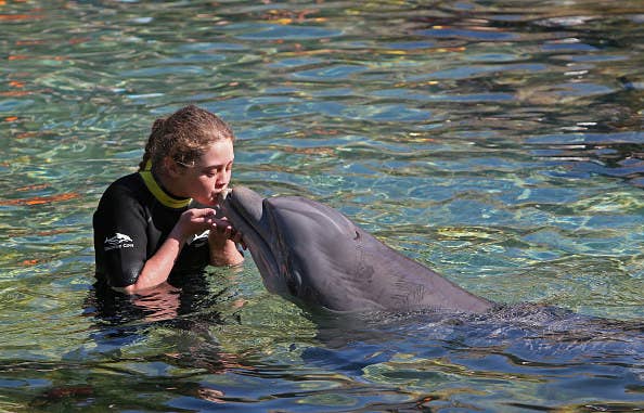 girl kissing dolphin 