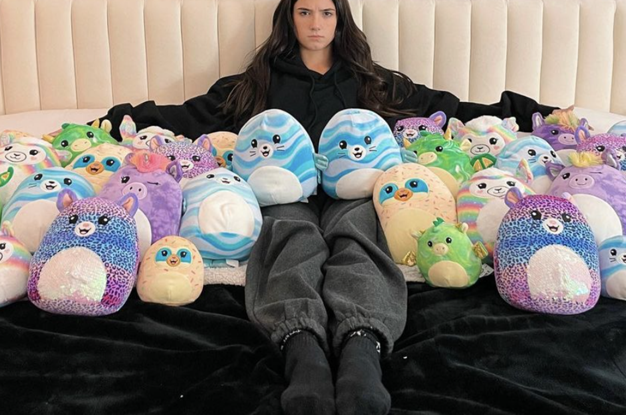 charli d'amelio sex doll Charli D'Amelio addresses backlash over Squishmallow toy collection main image 1