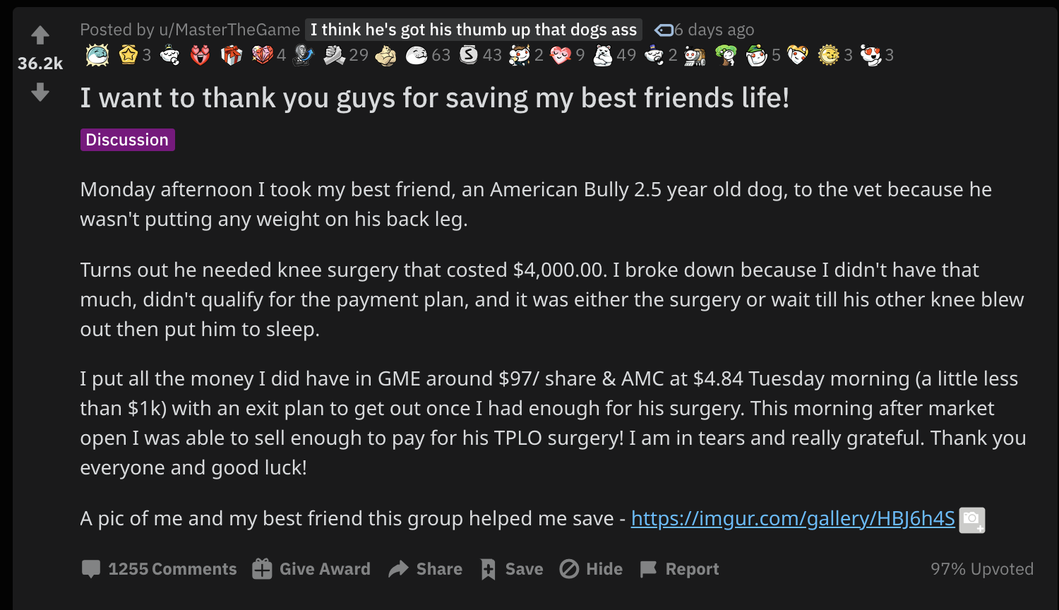 The Wallstreetbets Gamestop Hype Helped This Guy Save His Dog S Life