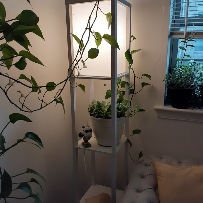 Review photo of the white floor lamp