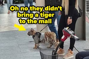 A woman walks a tiger like a dog at the mall