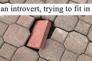 A brick that is a different size to the bricks around it not being able to fit in the hole, with the words "An introvert, trying to fit in" above it.