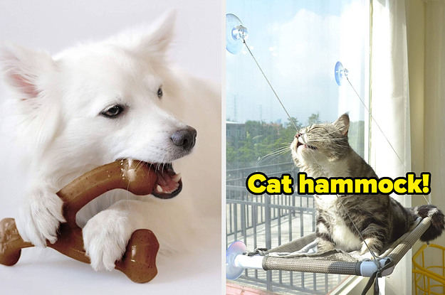 L: Dog bitting wishbone toy R: Cat lying on window hammock