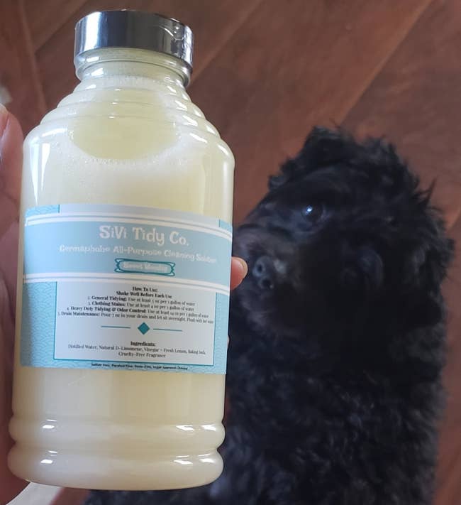 the bottle of sivi tidy co. cleaning solution next to a black dog