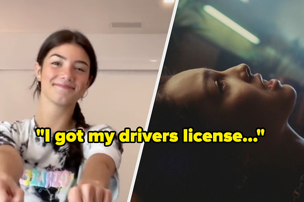 i got my drivers license label and screencap of charli damelio and music vid