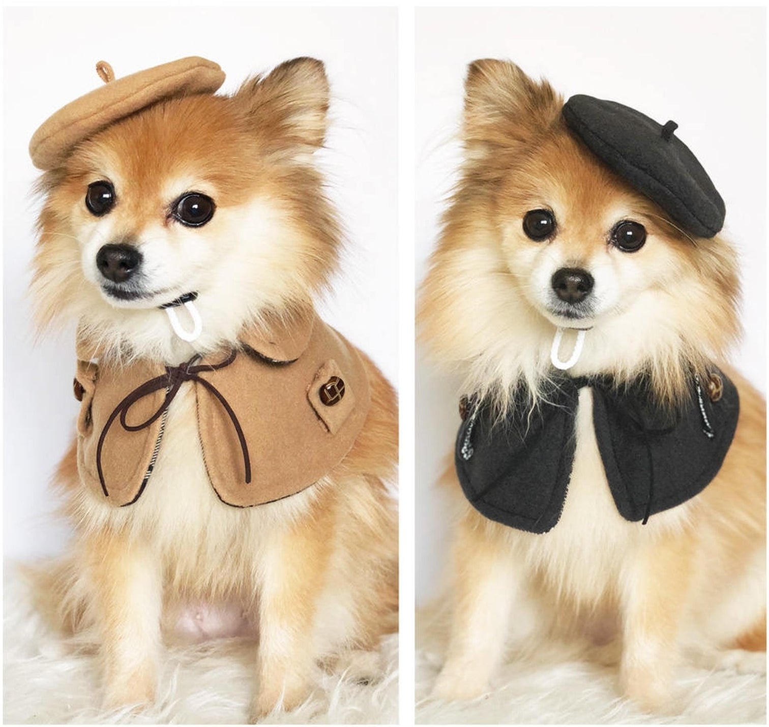 a small dog wearing a beret and cape in brown and black