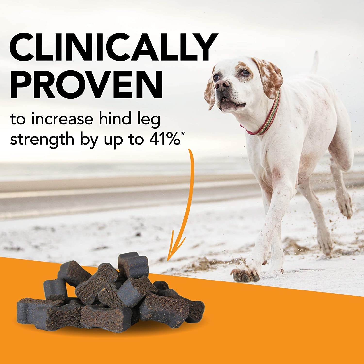 Infographic that shows the treats and says they&#x27;re proven to increase hind leg strength by up yo 41%