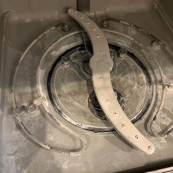 reviewer photo showing their dishwasher completely covered in grime 