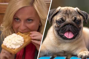 On the left, Leslie Knope from "Parks and Rec" eating a waffle topped with whipped cream, and on the right, a pug puppy with its tongue hanging out
