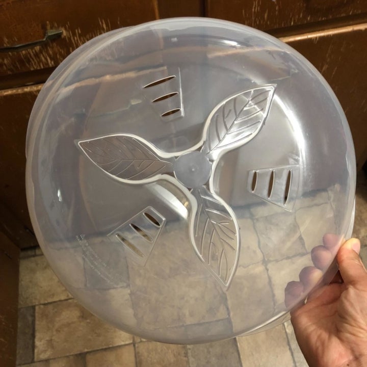 A reviewer photo of a hand holding the clear plate cover with a leaf design and ventilation slits 