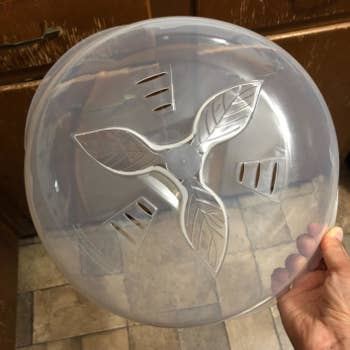A reviewer photo of a hand holding the clear plate cover with a leaf design and ventilation slits 