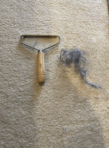 lint that was removed from carpet with tool 