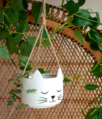 A smiling  cat shaped planter hung by jute strings