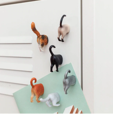 A set of cat butt magnets on a locker door