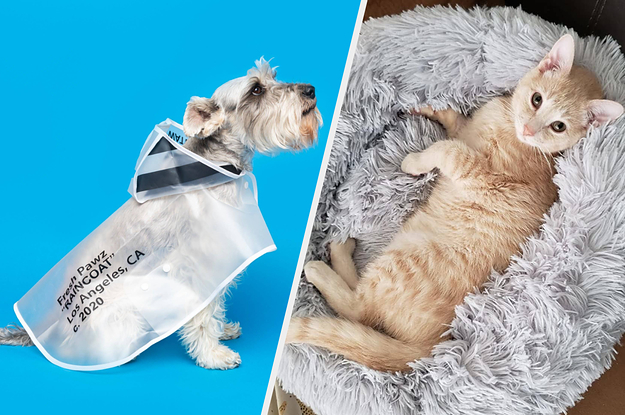 29 Things For Anyone Whose Pet Is Basically An Influencer