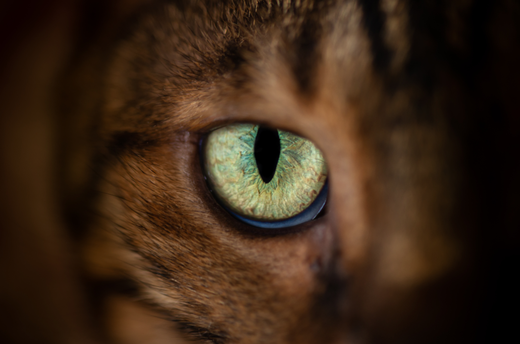 Green cat eye 