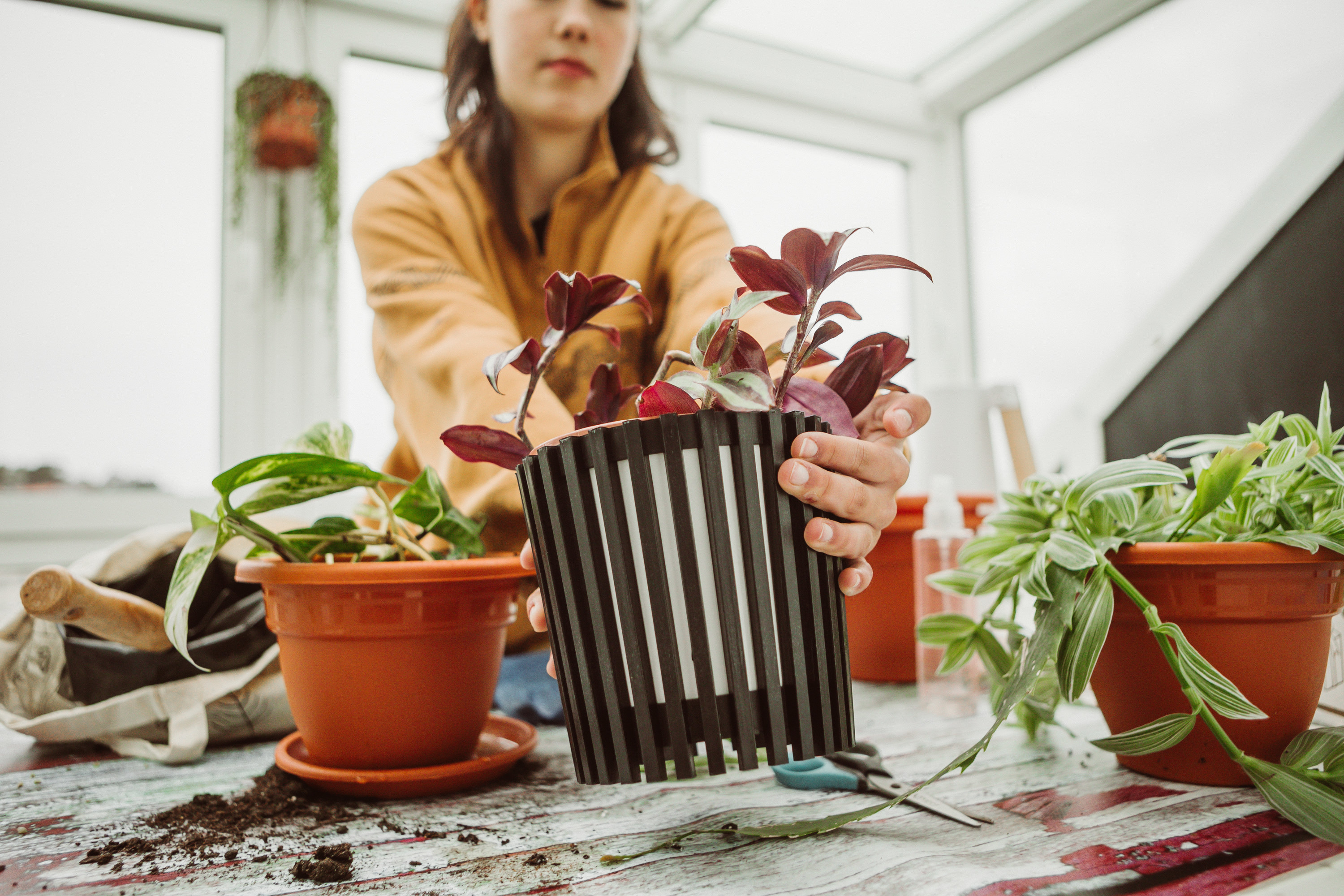 A woman setting up her home garden